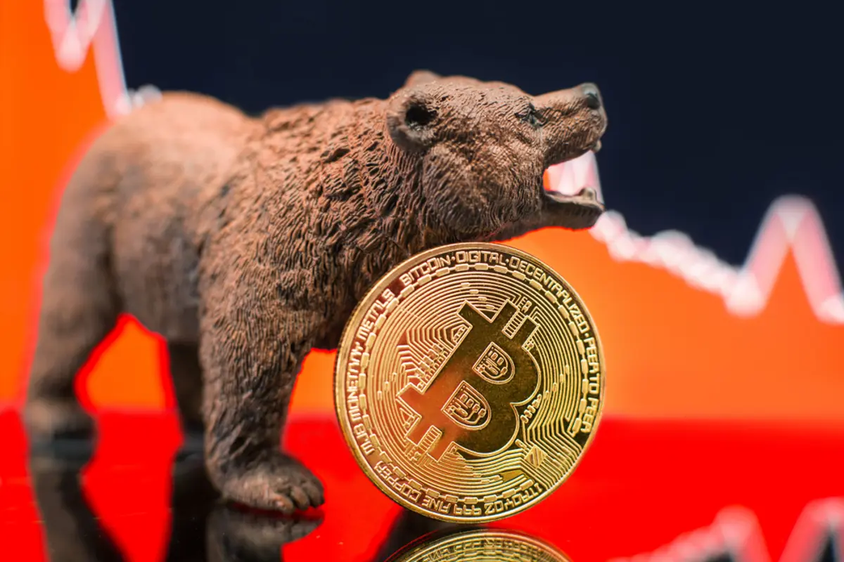 bitcoin_bear